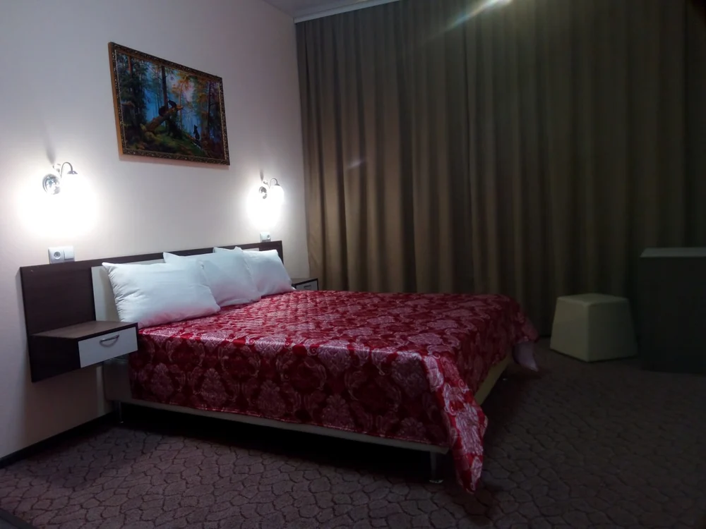 Отель "Репин"